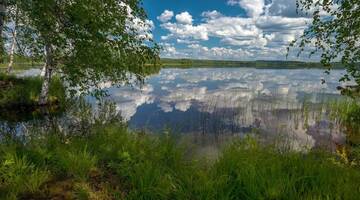 Фотографии Отели типа «постель и завтрак» Guest House Puukarin Pysäkki г. Valtimo (Финляндия) №2 Фото Отели типа «постель и завтрак» Guest House Puukarin Pysäkki г. Valtimo 2